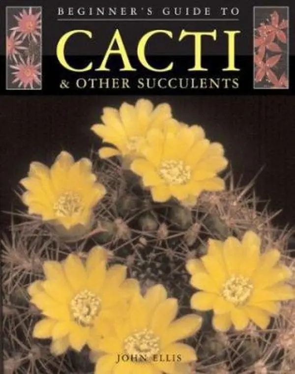 USED-Beginner's Guide to Cacti & Other Succulents by John Ellis (Paperback)