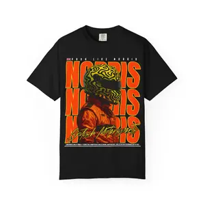 Lando Norris T-Shirt  Team Merchandise- racing shirt