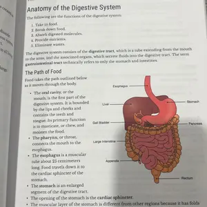 review image 5