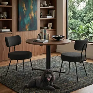 Set of 2 Modern Upholstered Dining Chairs, Teddy Fleece Cushion & Curved Backrest, Steel Frame for Stability, Suitable for Dining Room, Kitchen, Lounge & Vanity Use, Comfortable & Stylish, Perfect for Home Dining & Decoration