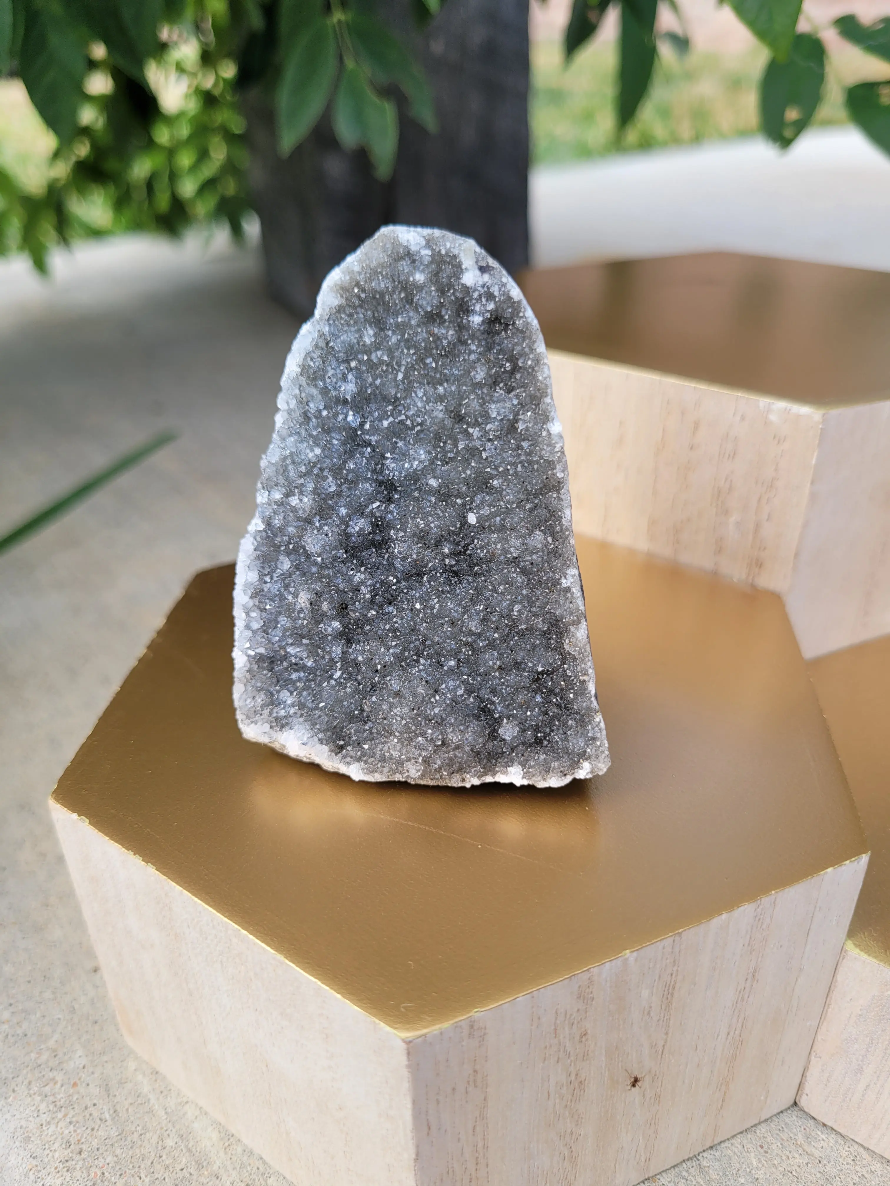 Black Amethyst Cut Base Geode - Small - Natural Stone
