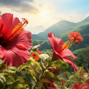 Coconut Shell Candle- Island Hibiscus