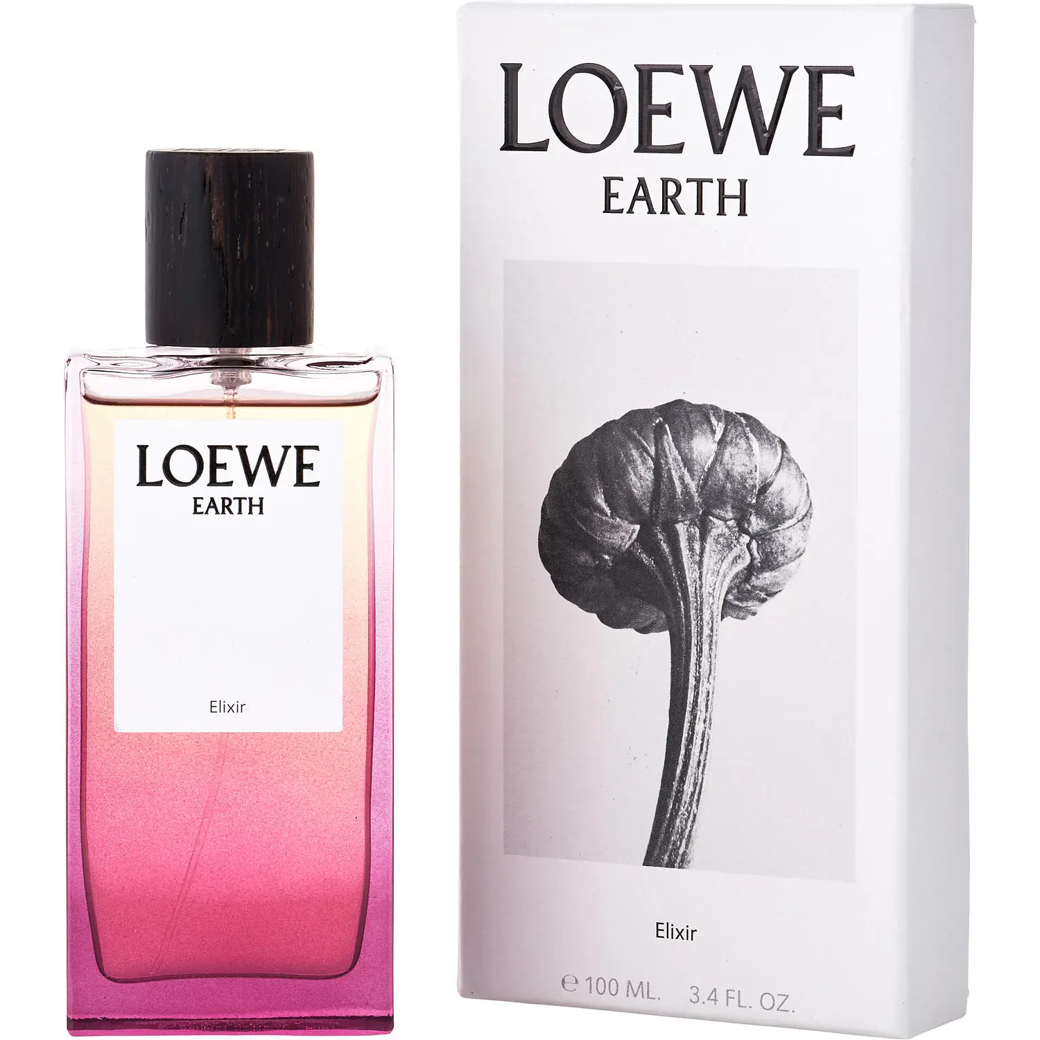 Loewe Earth Elixir By Loewe Eau De Parfum For Unisex