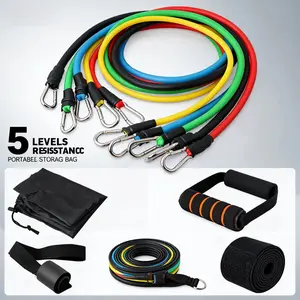 Resistance Bands with Handles, Home Workout Essential for Men & Women, Fitness Exercise Bands for Weight Training