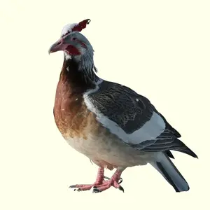 NEW'C [3 Pack Designed for Samsung Galaxy S23 Plus / S23+ Screen Protector Tempered Glass, Case Friendly Ultra Resistant