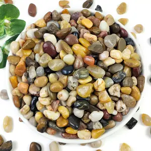 2LB Succulent and Cactus Gravel Pebbles, 3/8 Inch Decorative Polished Stones, River Rocks for , Vases, Aquariums, Terrarium and Outdoor Gardening,