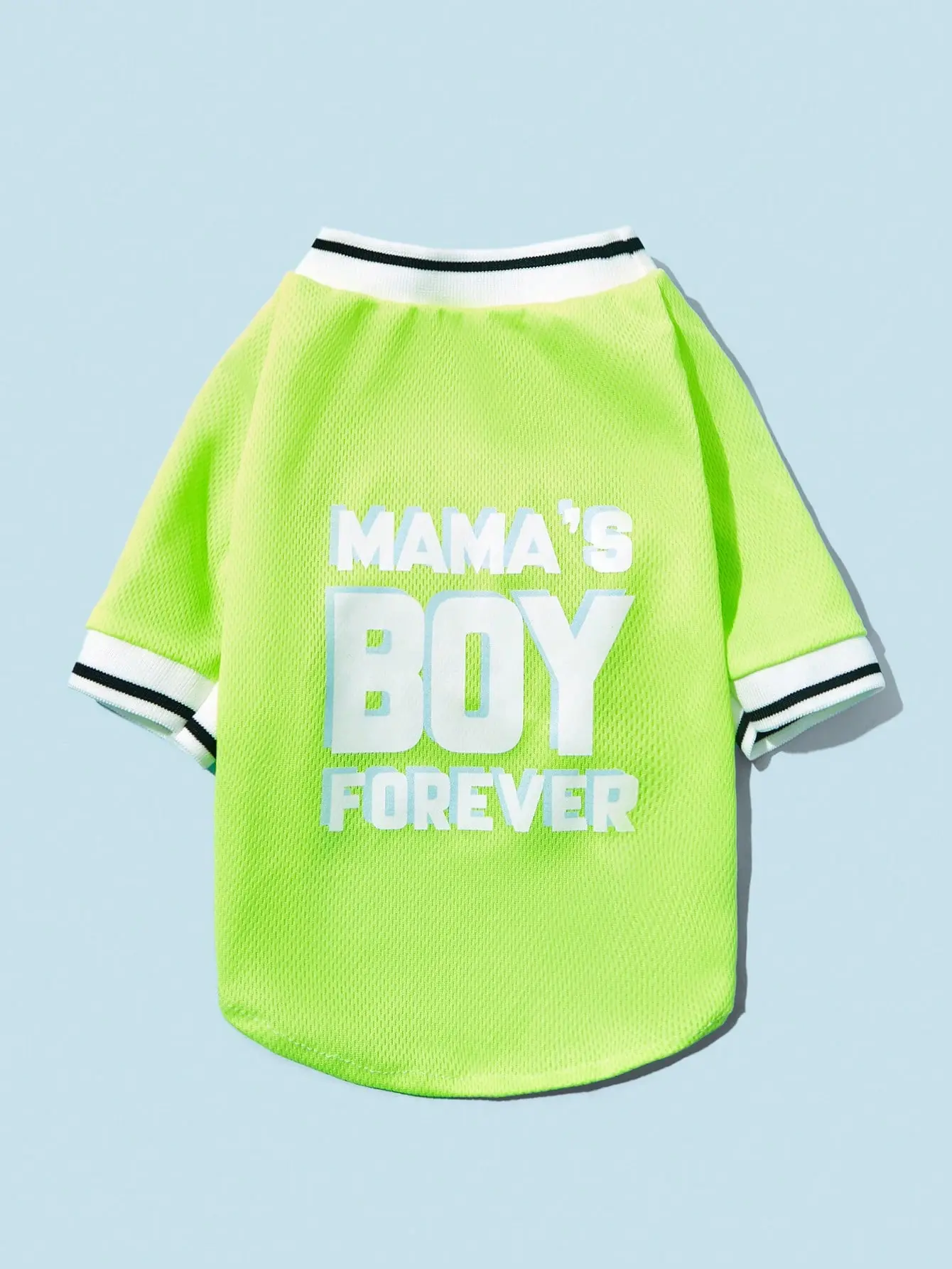 AESS x PETSIN Slogan Graphic Pet Tee Dog Cat Cute Fashion Lightweight Breathable Spring Summer Pet Outfit Apparel