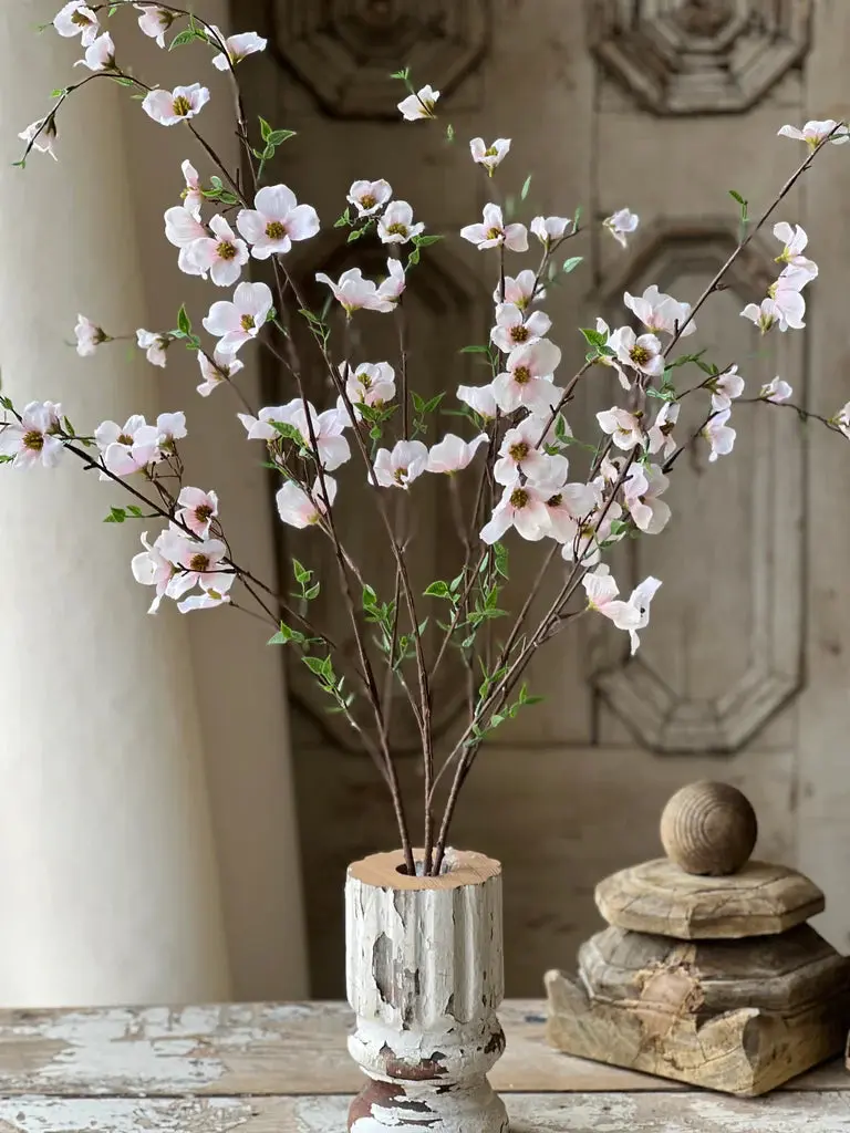 Pedigree Dogwood