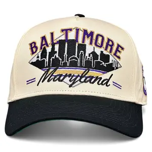 Baltimore Snapback - The Raven