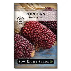 Strawberry Popcorn Seeds Strawberry Popcorn Seeds