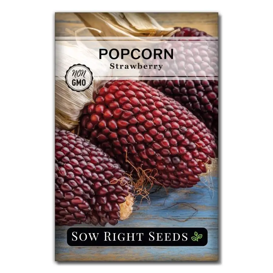 Strawberry Popcorn Seeds Strawberry Popcorn Seeds