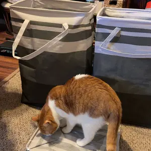 3Pack Large Laundry Basket, 75L Freestanding Waterproof Laundry Basket, Collapsible Storage Box with Easy Carry Handle, Suitable for Home and Dormitory Clothes, Towels and Toys Gradient Gray