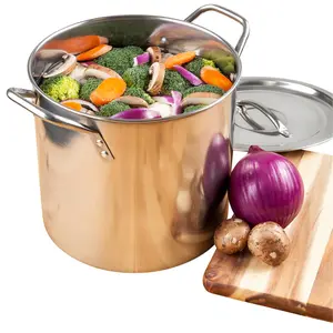 212 MAIN Silver Stainless Steel Cooking Pot - 12.25 in., 20 qt., Drip-Free Rim, Riveted Handles, Kitchen Cookware Stainless Steel Compatible