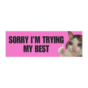 Sorry I'm Trying My Best Bumper magnet, funny car magnet, girly bumper magnet, anxious driver, meme bumper magnet