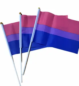 10 Small Bi Pride Flags - 8.2" x 5.5" Weather/Fade Resistant - Plastic Stick - LGBT Party Supplies Banners