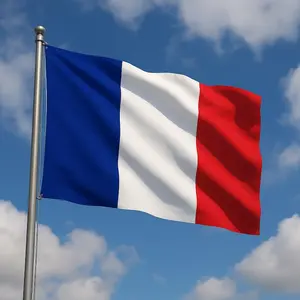 French Flag  Polyester France Banner with Brass Grommets for Indoor Outdoor Wall Decor, Bastille Day Paris Themed Gift