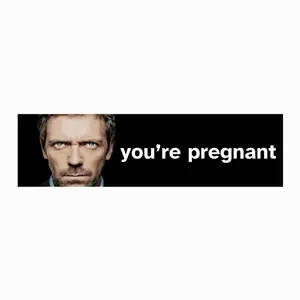 You're Pregnant Meme Bumper Sticker: Weatherproof Vinyl Satire
