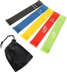 Fit Simplify High-Quality Latex Resistance Loop Exercise Bands Set of 5 with Color-Coded Levels, Portable Carry Bag & Illustrated Instruction Guide for Sports Fitness & Physical Therapy