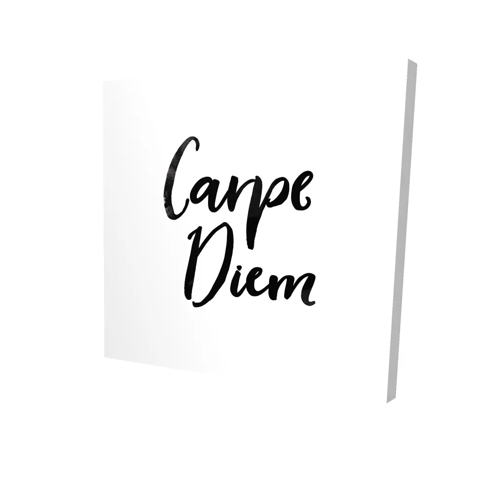 212 MAIN Inspirational Carpe Diem Canvas Wall Print - 24x24 in., Minimalist White Decorative Durable Hangable Home Decor, Ideal Gift for Home Supplies Enthusiasts