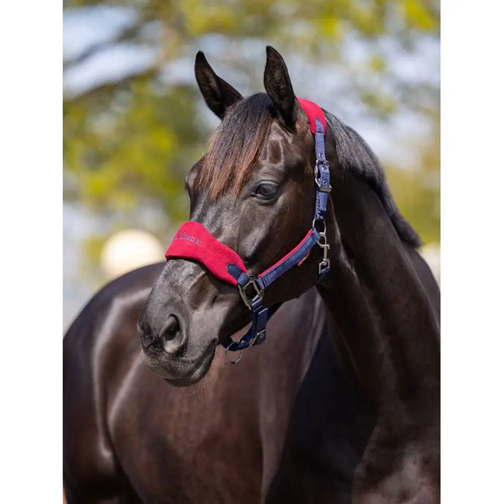 IT00829 Vogue Fleece Cushion Headcollar Halter & Lead Rope Set - Burgundy