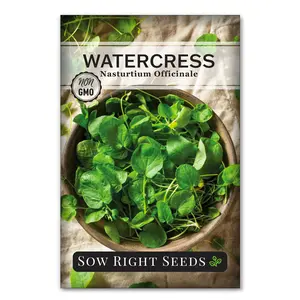 Watercress Watercress