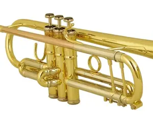 Wisemann Taurus 0901TR Trumpet Brass Lacquered with 3 Stainless Steel Piston Rose Brass Lead Pipe Premium Canvas Case & Mouthpiece