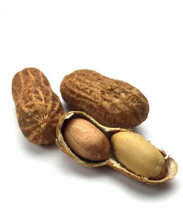 Nuts To You Southern Fried Salted Peanuts Eat them shell & all