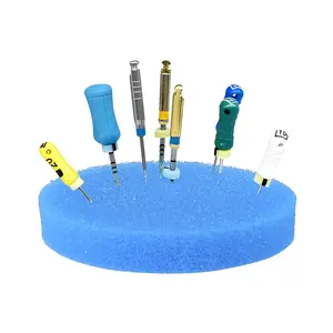 PlastCare USA Premium Blue Round 2.5" Endodontic Foam – Pack of 50 Sponges