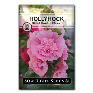 Double Flower Mixed Hollyhock Seeds