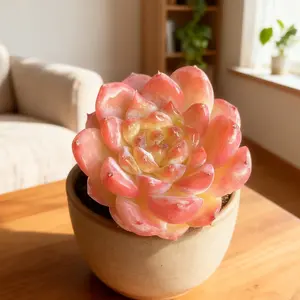 Echeveria Peach Elf Vibrant Red  Are Here!  Special Bundle  Beginner-Friendly · Perfect for Holiday & Wedding Decor! Live Plant Starter Kit Mini Plug Succulent Garden
