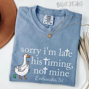 Comfort Colors Sorry I’m Late Bible Verse Tee, Ecclesiastes 31 Christian T-Shirt, Minimalist Silly Goose Retro Graphic Tee for Believers