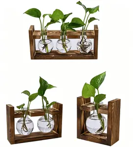 Wooden Stand Hydroponic Plant Vase, Glass Planter Terrarium with Wood Holder, Desktop Water Plant Propagation Station, Home Office Decor kitchen Rustic Mini Clear Bud Set Plant Propagation Station,Plant Terrarium,Plant Starter
