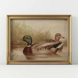 Vintage Mallard Duck Print Rustic Home Decor Antique Mallard Ducks Farmhouse Wall Decor Ducks Nursery Wall Decor Antique Bird Oil Painting P