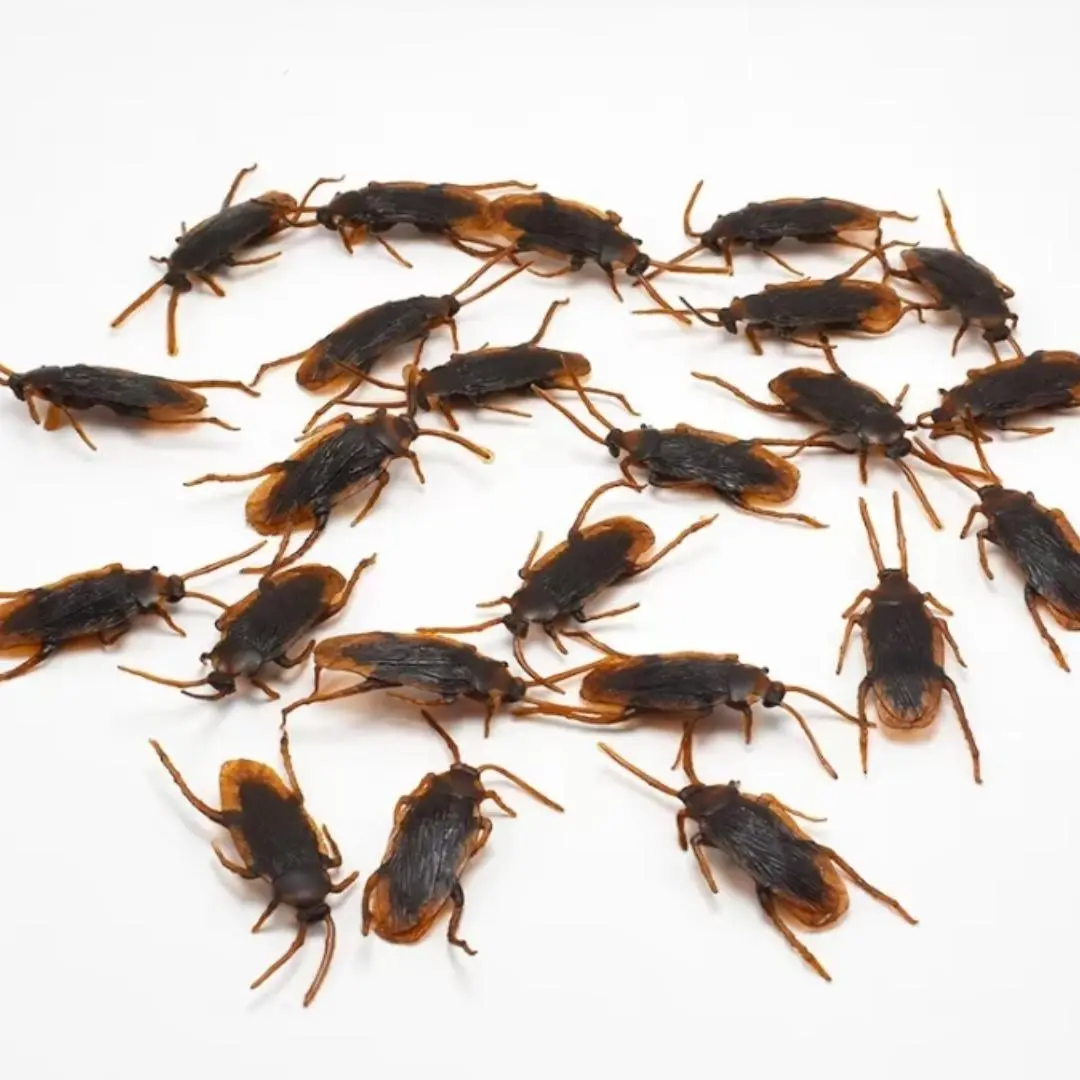 Simulation Cockroach Model, 10pcs Realistic Fake Cockroach Toy, Scary Joke Toy, Plastic Insect Toy, Novelty & Gag Toys for Festival Party