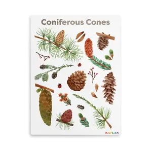 Kaplan Early Learning Coniferous Cones Giclee Classroom Wall Print | Nature-Inspired Room Décor | 18" x 24" | Plant Canvas Wall Art