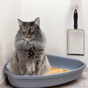 2-Pack Small Mesh Stainless Steel Cat Litter Scoop, Fine Metal with Non-Stick Coating, Suitable for Hamsters, Cats, Dogs, Birds, Reptiles