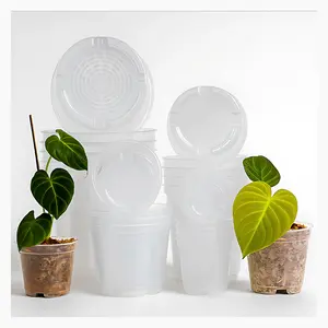 Clear Nursery Pots for Plants— Optimal Drainage, Various Sizes: 3"/4"/5.2"/6.7" (5 Pack)