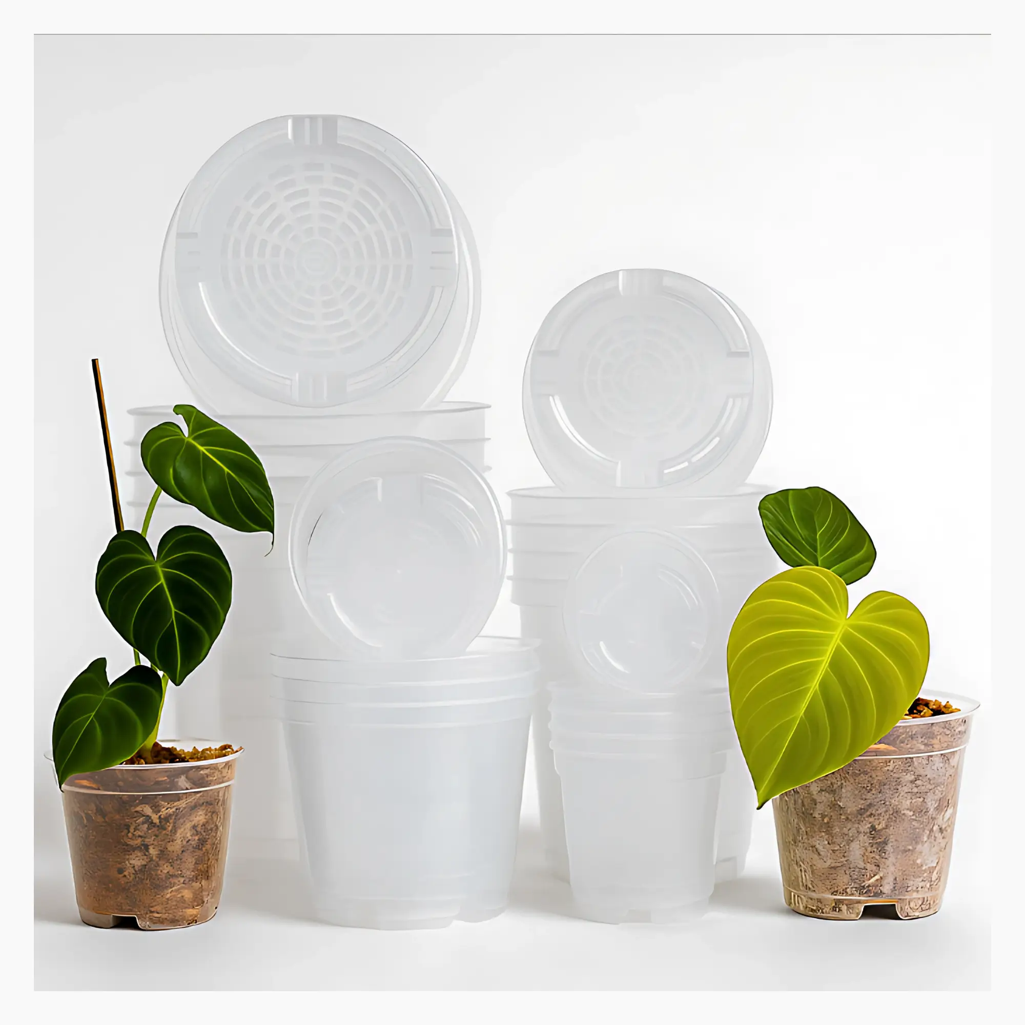 Clear Nursery Pots for Plants— Optimal Drainage, Various Sizes: 3"/4"/5.2"/6.7" (5 Packs)