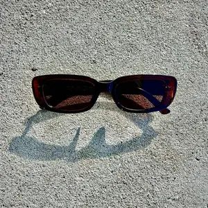 Chocolate Brown Frames