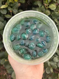 Sugar Belle Sour Swamp Gushers  In a Sour Gel - Extra Sour Candy Gushers with Reusable Sour Swamp Sauce Bold Green Blue Color Intense Flavor Handcrafted in Small Batches Snack Gummies
