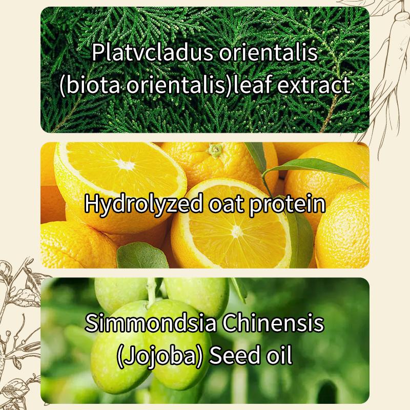 XUJECT Herbal Rosemary & Biotin Hair Strengthening Shampoo 210ml Nourishes Thickens Hair 8 Plant-Derived Actives Sulfate-Free Daily Care Buy 1 Get 1 Free Nourishing Haircare Cleanser