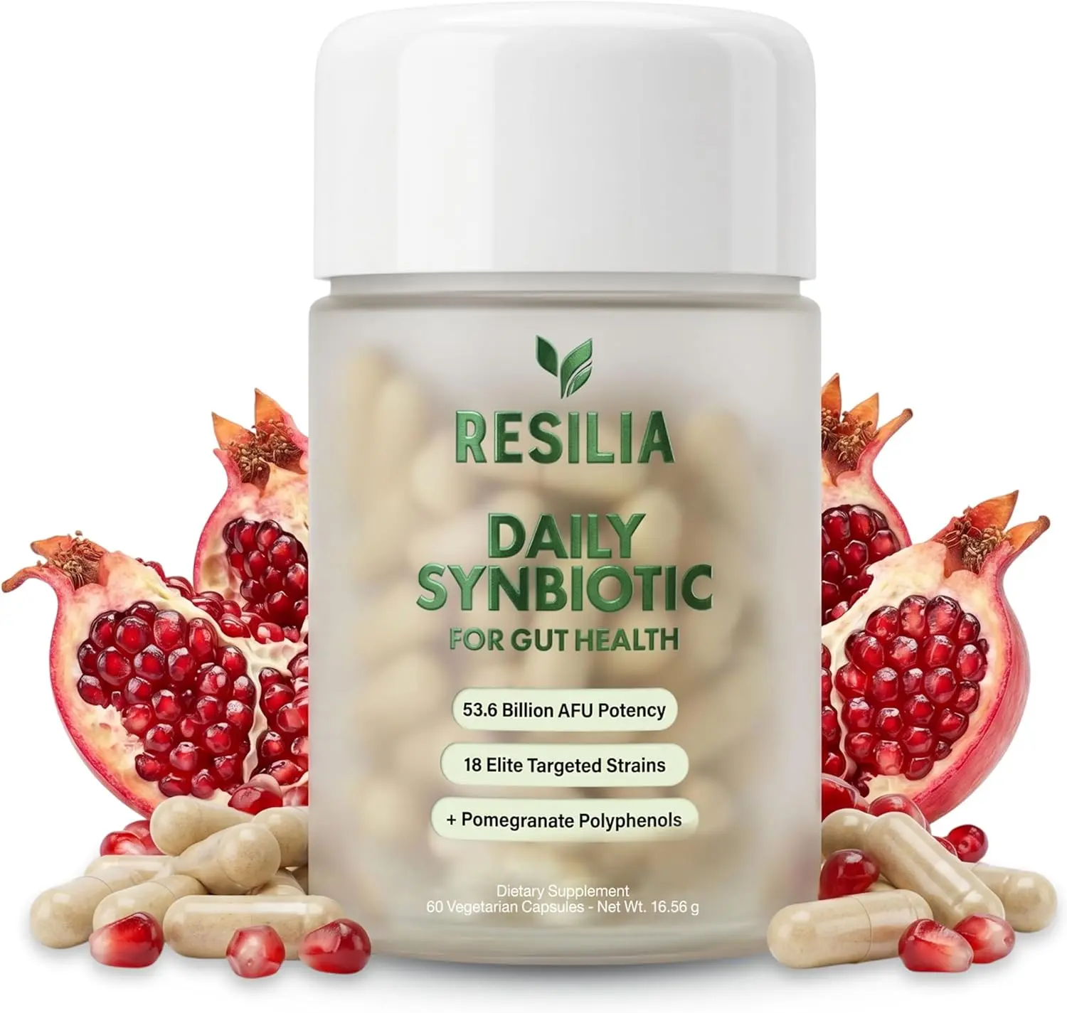 Resilia Synbiotic Probiotic + Prebiotic Supplement for Women & Men - 53.6B AFU, 18 Strains, Shelf-Stable Polyphenol-Infused Capsules, Digestive & Gut Balance Support, 60 Capsules