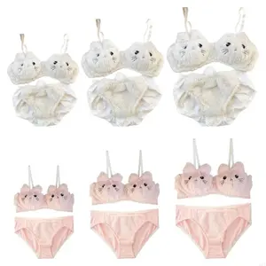 Women Plush Bra Panty Set Funny Cats Bra Panties Set Cartoon Plush Underwear Soft Lovely Student Girls Lingerie Gifts