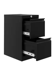 Garvee Filing Cabinet with 2 Drawers, 38 cm Depth x 45 cm Width x 73 cm Height, Under-desk Document Cabinet, Lockable Office Cabinet for Desk, Suitable for Office and Home Office