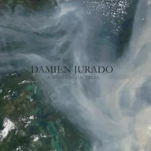 Damien Jurado - Caught in the Trees  [VINYL RECORD - LP]