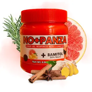 NO+PANZA Ginger Gel Reinforced with L-Carnitine 8.8 Ounce Herbal Massage Gel for Stomach Legs Arms Natural Self Care Routine
