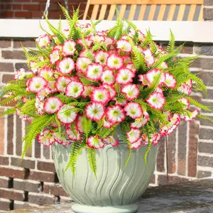 Artificial Petunias, 6 Counts Fake Flowers, Realistic Faux Flowers, Artificial Flower Arrangements, UV Resistant Outdoor Faux Plants Shrubs Plants with Fern for Indoor Outside Hanging Planters Home Garden Summer Decorations, Fruit