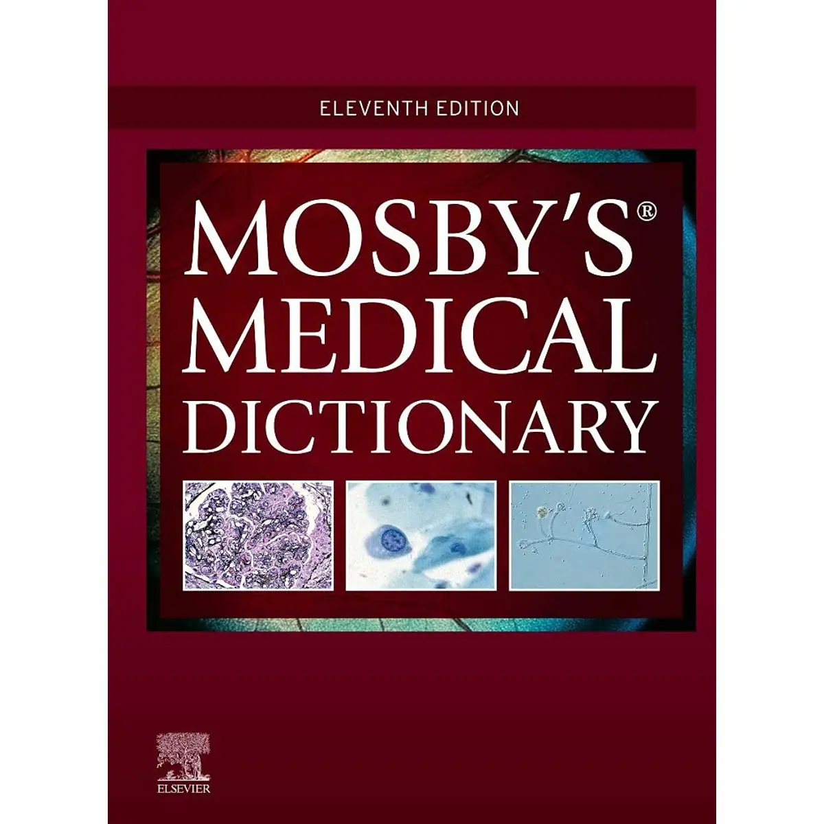Mosby's Medical Dictionary 11th Edition