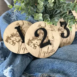 Western Milestone Disc Baby Shower Gift Cowboy Nursery Wood Disc Monthly Milestones for Baby's Milestones