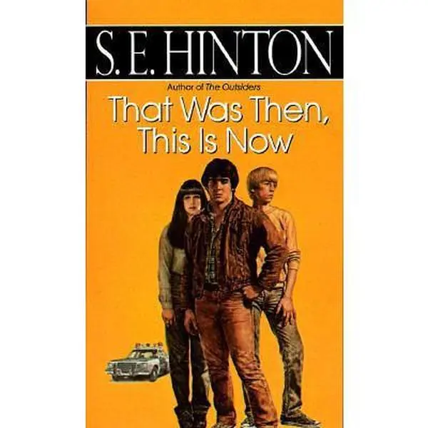USED Book - That Was Then, This Is Now by S.E. Hinton (Unknown) - english